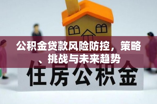阳新公积金贷款风险防控，策略、挑战与未来趋势